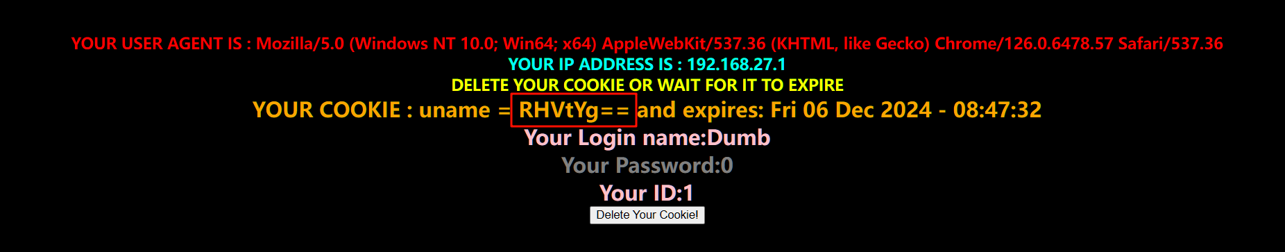 image-20241206154956021